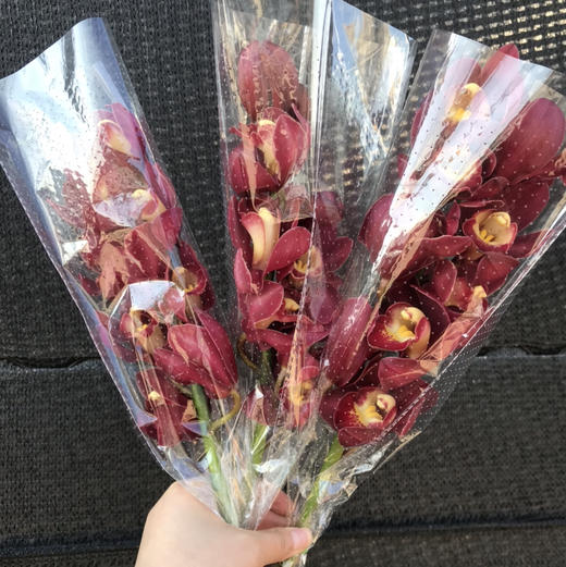 大花蕙兰随机颜色 商品图2