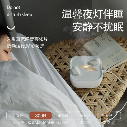 极地物种冰川香薰夜灯多功能加湿器  JDWZ 商品图4