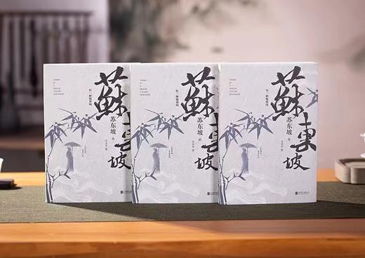 《有一种境界叫苏东坡》3册 商品图1