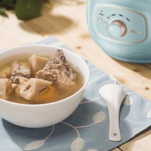 小熊 电炖锅 DDG-D20Z6 商品图3