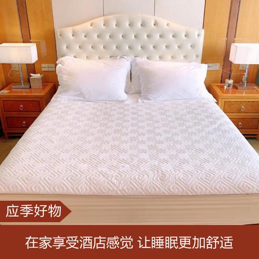 【应季好物】希尔顿酒店花园艾草纤维夹棉床笠 商品图0