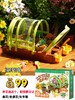 可达鸭种植全系列套餐 | 科学种植体系，成活率高、易打理、环保可降解、种植专属工具、动手又动脑、颜值高 商品缩略图1