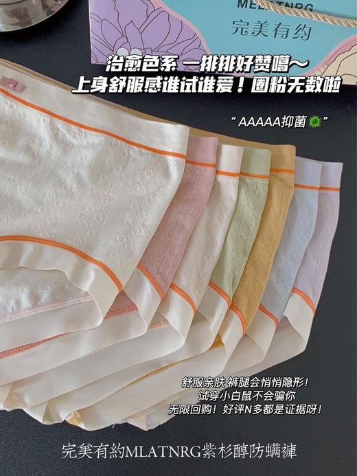 【换季大换新 1周7天不重样】紫杉醇防螨裤 完美有约女士内裤礼盒装 提臀抑jun底档三角裤 40支面料 商品图2