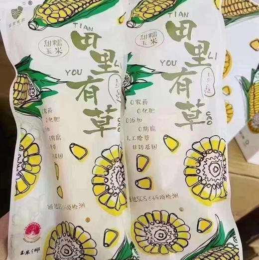 🌱  黄糯玉米～🌽 🅾️农药  🅾️添加 🅾️化肥  人工除草 非转基因锁鲜  👍独立真空包装 😋干净卫生因为不打农药 所以‘田里有草’ 商品图5