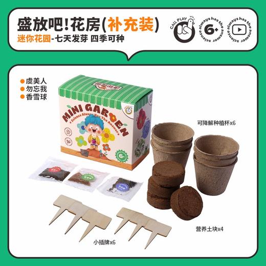 可达鸭种植全系列套餐 | 科学种植体系，成活率高、易打理、环保可降解、种植专属工具、动手又动脑、颜值高 商品图4