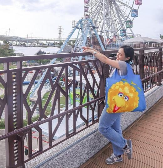 大号..（50*42cm）澳大利亚🇦🇺ENVIROSAX春卷包全系列来袭！梵高系列经典系列 商品图4