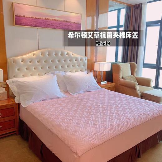 【应季好物】希尔顿酒店花园艾草纤维夹棉床笠 商品图4