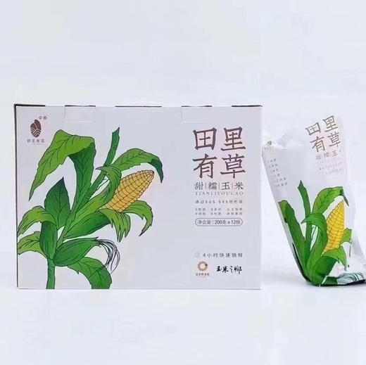 🌱  黄糯玉米～🌽 🅾️农药  🅾️添加 🅾️化肥  人工除草 非转基因锁鲜  👍独立真空包装 😋干净卫生因为不打农药 所以‘田里有草’ 商品图9