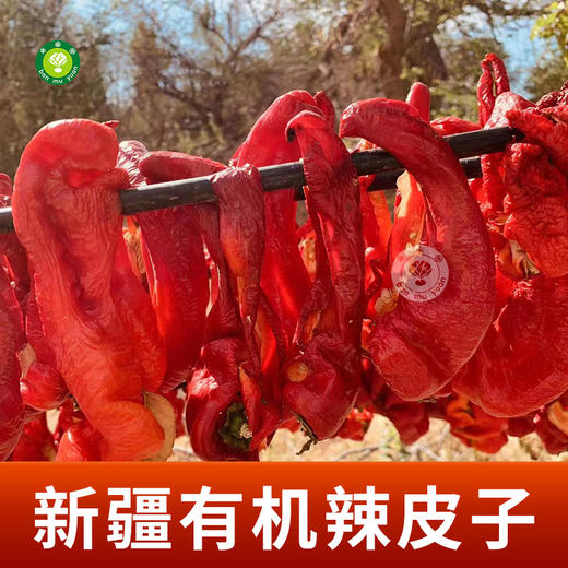 新疆有机辣皮子200g*2袋 商品图4