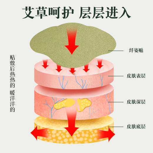 【应季好物】艾草纤姿贴15贴/盒*6盒 商品图3