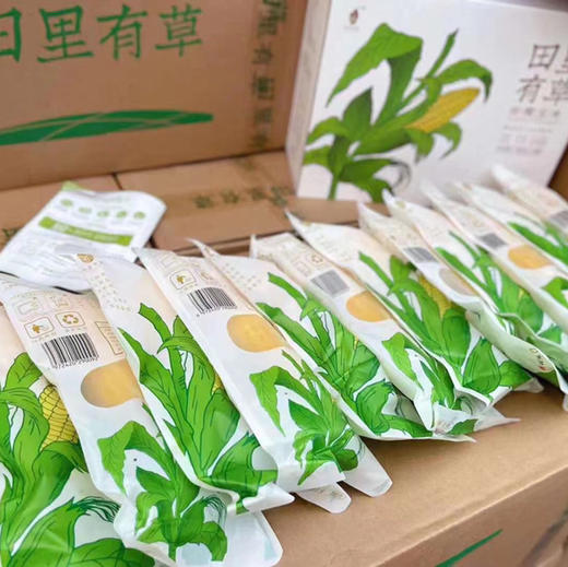 🌱  黄糯玉米～🌽 🅾️农药  🅾️添加 🅾️化肥  人工除草 非转基因锁鲜  👍独立真空包装 😋干净卫生因为不打农药 所以‘田里有草’ 商品图10