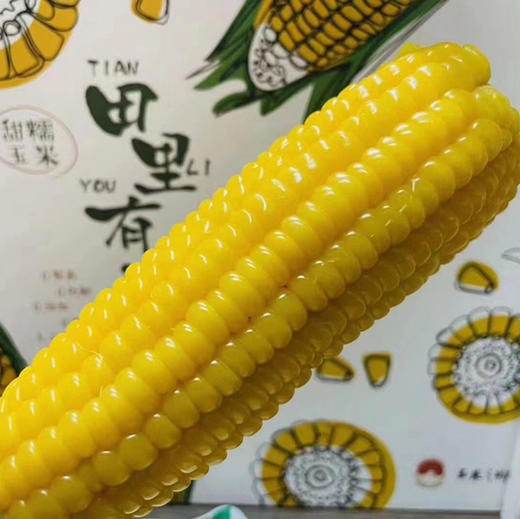 🌱  黄糯玉米～🌽 🅾️农药  🅾️添加 🅾️化肥  人工除草 非转基因锁鲜  👍独立真空包装 😋干净卫生因为不打农药 所以‘田里有草’ 商品图1