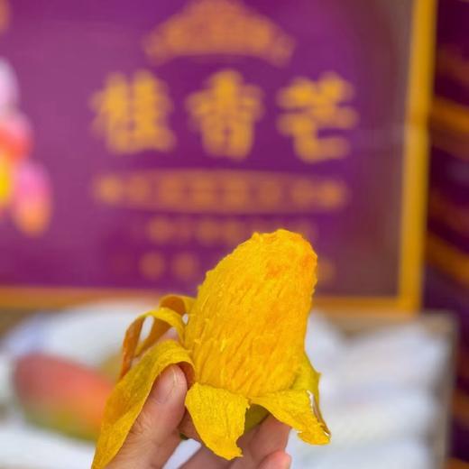 桂香芒 商品图1