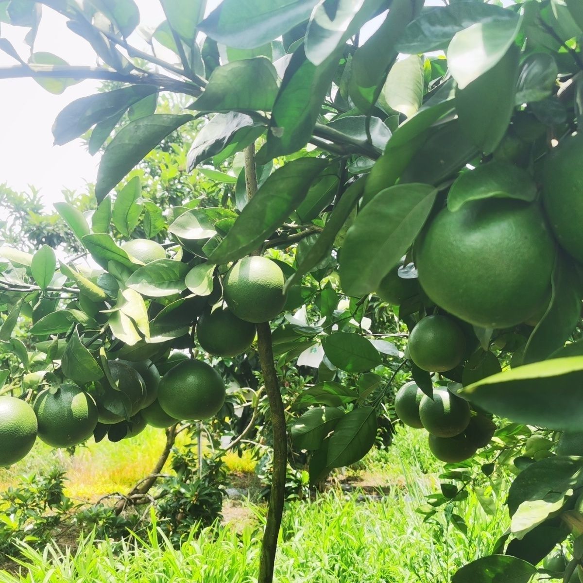 微信图片_20221128191728