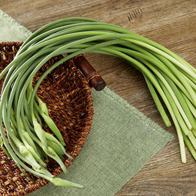 新蒜苔份/约500g