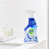 【滴露】浴室清洁除菌喷雾500ml 水龙头马桶洗手盆去污去皂渍进口 商品缩略图1