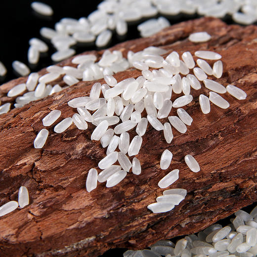 「10斤装！东北长粒香米」掌中禾黑龙江东北大米新米5kg 长粒香米粳米10斤粮油米面 商品图1