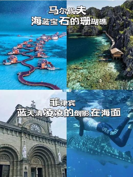 【中国公民免签-落地签合集】40个国家都可办理 商品图0