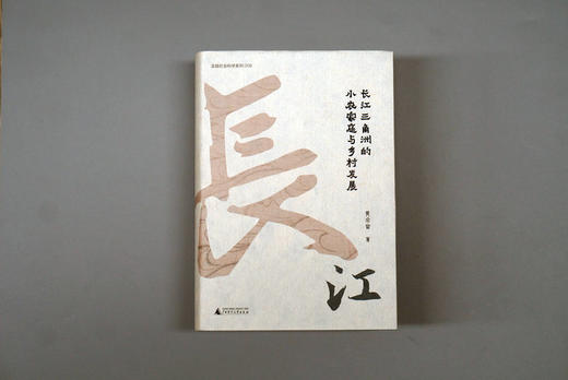 大学问 · 长江三角洲的小农家庭与乡村发展    黄宗智/著 商品图2