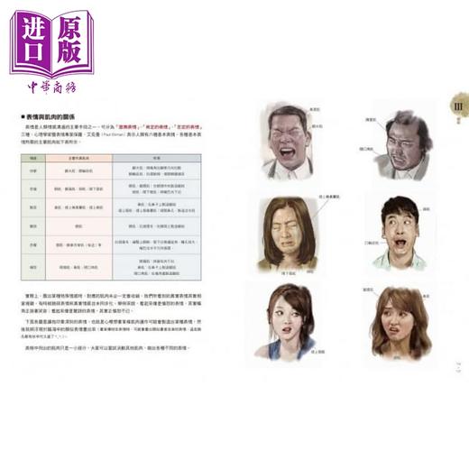 【中商原版】Stonehouse的美术解剖学笔记 港台艺术原版 石政贤 枫书坊出版 商品图4