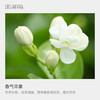 浓情蜜意礼盒套装 甜橙精油＋小花茉莉精油＋葡萄籽油 商品缩略图2