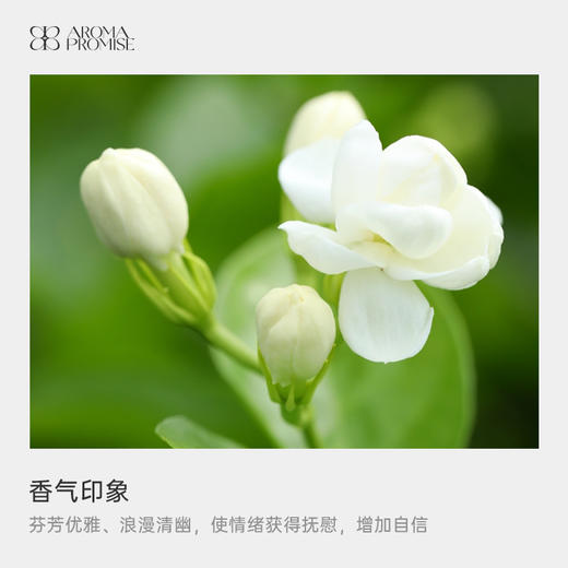 浓情蜜意礼盒套装 甜橙精油＋小花茉莉精油＋葡萄籽油 商品图2
