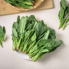 菠菜 约300g/份 商品缩略图2