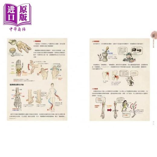【中商原版】Stonehouse的美术解剖学笔记 港台艺术原版 石政贤 枫书坊出版 商品图1