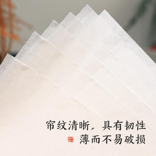 【庆学堂】蝉翼宣纸 工笔书画纸 临摹纸 商品图4