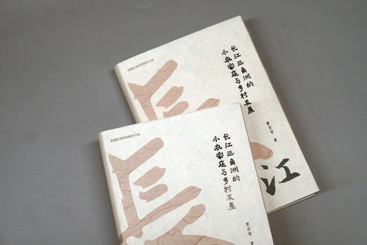 大学问 · 长江三角洲的小农家庭与乡村发展    黄宗智/著 商品图3
