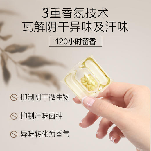 绽家蓝桉叶精油洗衣凝珠持久留香除菌去污渍 3腔10颗 桂花 商品图3