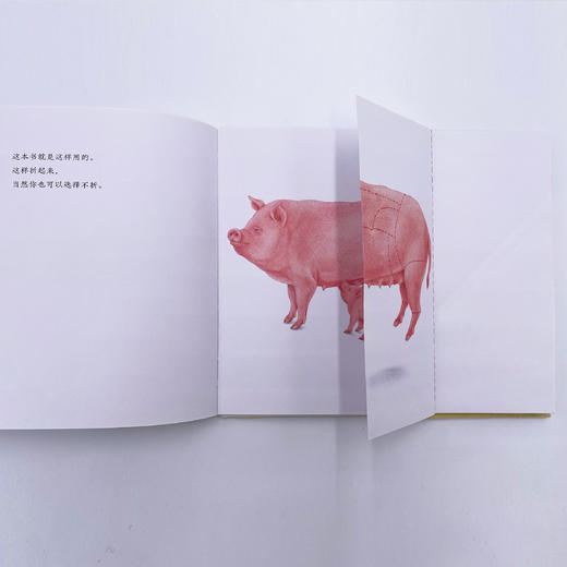 《这样折起来》《眼》（共2册） 商品图10