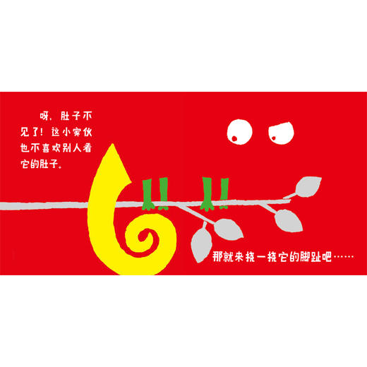 变色龙 东方娃娃0-3岁婴幼儿宝宝启蒙认知图画书绘本 商品图2