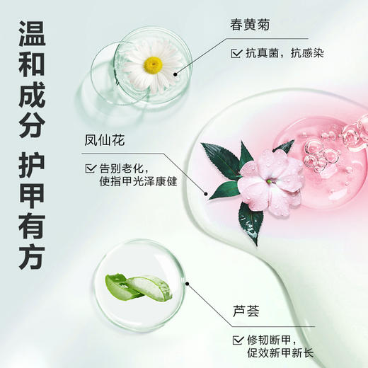 【美国原装进口】Norvikon净甲神针 养护健康新甲 10ml/支 商品图3