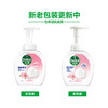 【滴露】慕斯泡泡沫抑菌洗手液 家用成人儿童 玻尿酸洗手液250ml*3 商品缩略图1