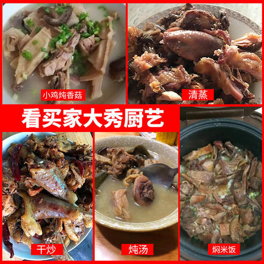 【湖北土特产！农家自制风干土鸡】散养咸鸡腊鸡整只700g左右，年货腊肉干货腊鸭腿健康 商品图3