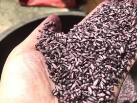 墨江核心产区老品种紫米，原生态初级农产品，没有CS，介意勿拍～ 满88包邮