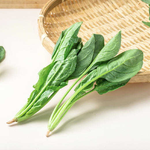 菠菜 约300g/份 商品图4