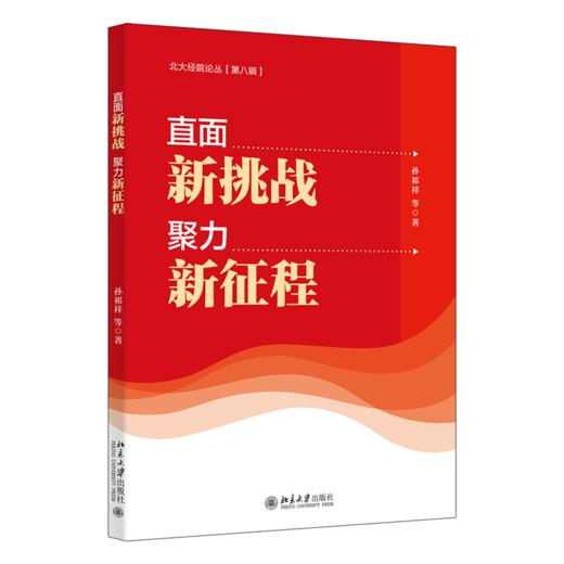 直面新挑战，聚力新征程 孙祁祥 等 北京大学出版社 商品图0