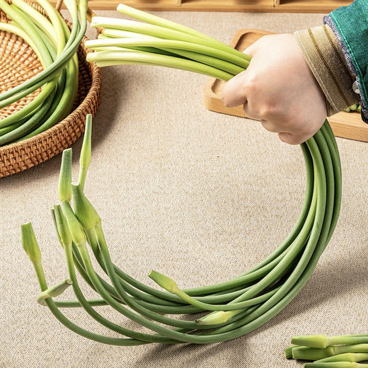 新蒜苔份/约500g 商品图4