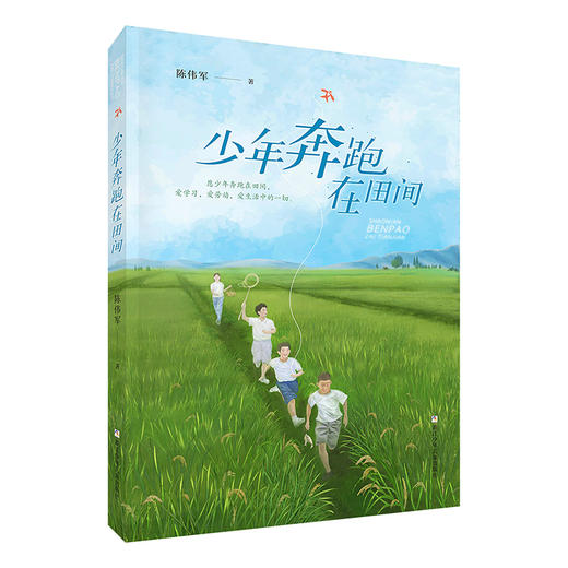 少年奔跑在田间 商品图0