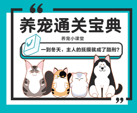 一到冬天，主人的抚摸就成了酷刑？