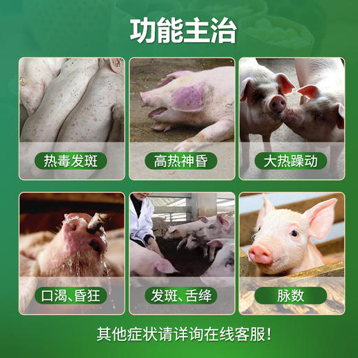 【清瘟败毒散】巨龙动保清瘟败毒散原败毒宁1000g 商品图1