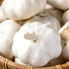 大蒜头250g/份 商品缩略图0