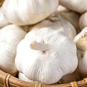 大蒜头250g/份