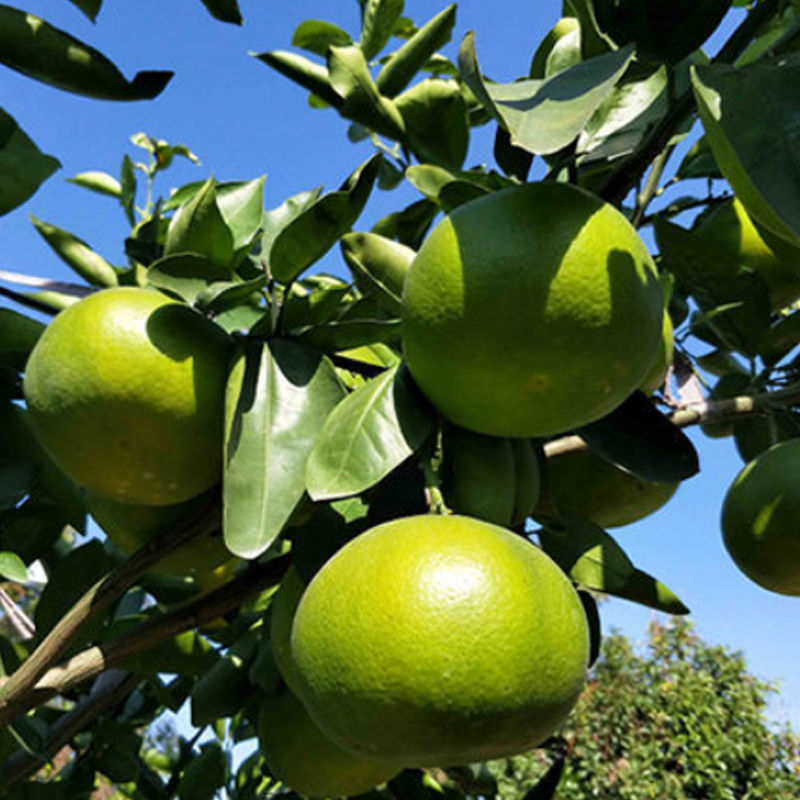 微信图片_20221128191716