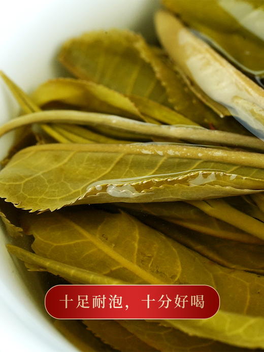 【断货王】【凤凰窝】2023年春茶预售今年只采凤凰窝“窝里”核心片区持续升级第五代重磅来袭独特的“马汉清香”过口不忘600年古树纯料 商品图5