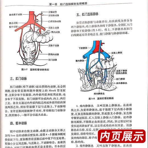 正版 肛肠外科护理 聂敏 李春雨主编 肛肠科书籍外科学 肛肠疾病临床研究 肛肠护理方法 肛肠外科药制剂 方法人民卫生出版社 商品图4