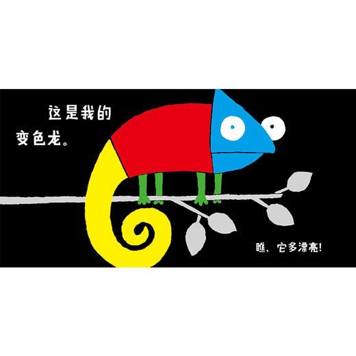 变色龙 东方娃娃0-3岁婴幼儿宝宝启蒙认知图画书绘本 商品图3