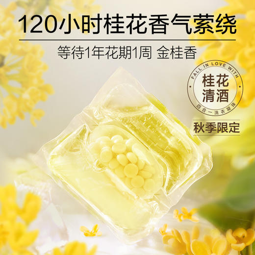 绽家蓝桉叶精油洗衣凝珠持久留香除菌去污渍 3腔10颗 桂花 商品图1